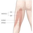 거북목이신가요? 대퇴이두근 운동하세요!＜4＞암팡요가교실로 오세요 이미지