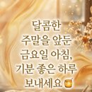 에이스청소 네이버블로그