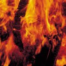 황토참숯방 이미지