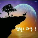 둥지이불