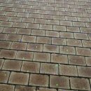 낙조분수 | 부산 다대포 꿈의 낙조분수 빛거리 빛축제 후기