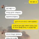 빅맘떡볶이 | 온뇨쇼 쵸죵인됴