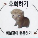 썰다대구신매점 | 나 돌아갈래