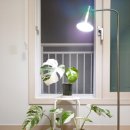 주식회사 솔라 이미지