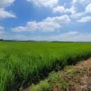 동읍1223 이미지