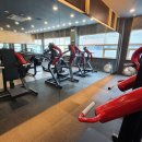 디바인PT클럽 이미지