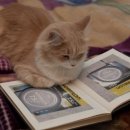 경북철물 이미지