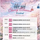 공설운동장 다목적경기장 | 2026 제천 청풍호 벚꽃축제 실시간 개화 일정 주차 방문팁 총정리