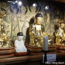 양구 심곡사 목조 아미타삼존불좌상 및 복장유물 이미지