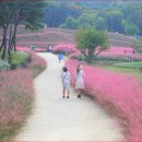 푸른수피아