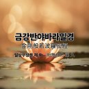 반야다원 이미지
