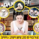 (주)뉴현대렌트카 이미지