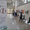충북화원 이미지