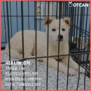 락포트군산