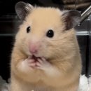 경기도 수원시 팔달구 권광로 191 (인계동) | 수원 인계동 증명사진&amp;프로필 사진/인계동 사진관 | 레코드씬 스튜디오