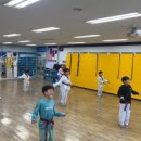 용인대백상태권도 이미지