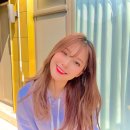 지헌 Daum카페