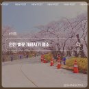 반월놀이공원 이미지