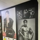 제프짐 이미지