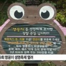 맹꽁이연구소 이미지
