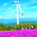 남상면-35 네이버블로그