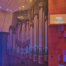 디 오리지널 프렌치 뮤지컬 갈라 콘서트 | 2025년 09월 : 뮤지컬 [노트르담 드 파리] 프렌치 오리지널 내한공연