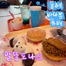 동해인테리어 | 강원도 동해 바다뷰 디저트 맛집 말똥 도나스 내돈내산 후기