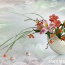 하룻 강아지 이미지