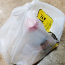 호호참숯불닭발 이미지