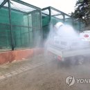 창녕방역