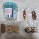 댕댕로망스 이미지