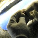 88실내바다낚시터 이미지