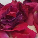 유월부동산중개 이미지