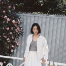 아베크 샵