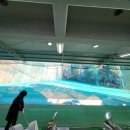 용현골프연습장 이미지