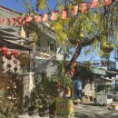 파파야레스토랑 | 다낭 호이안 QQ레스토랑 올드타운 로컬맛집 후기