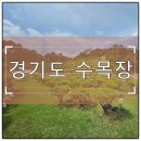 황토와소나무 | 경기도 수목장 자연장지 비용 알아보고 예약까지 한번에