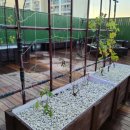 반디유치원 이미지