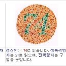 파프리카안경 수영점 이미지