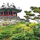 황금돼지동상 동행미디어 시대