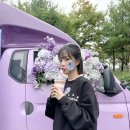 뮤직타운애플