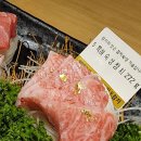 이가참치 이미지