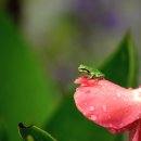 서울숲1 이미지