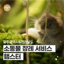 광주광역시반려동물장_햄스터,토끼,고슴도치 장례