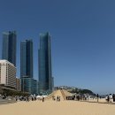 걸어가는 사람 | 2026 해운대 모래축제 후기｜주차·가는법·볼거리 총정리