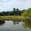 담소요