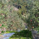 소망유통 이미지