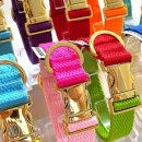 포리하우스 이미지