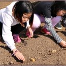 외포초등학교 이미지