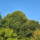 아미산파크 | 당진아미산맛집 "아미소동" 우동&amp;막국수&amp;비빔밥 다추천!!